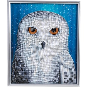 Cute Owl Diamond Painting Set by Wizardi. Fantasy Diamond Art Beginner Kit.  Easy Diamond Painting Kit CS2711 