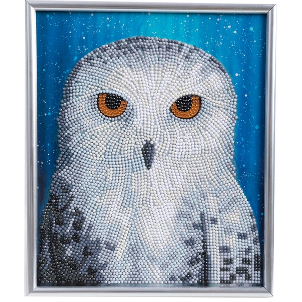 DIAMOND PAINTING KIT Snowy Owl By Night With White Frame Crystal Art Craft Buddy Partial Drill Bird Picture