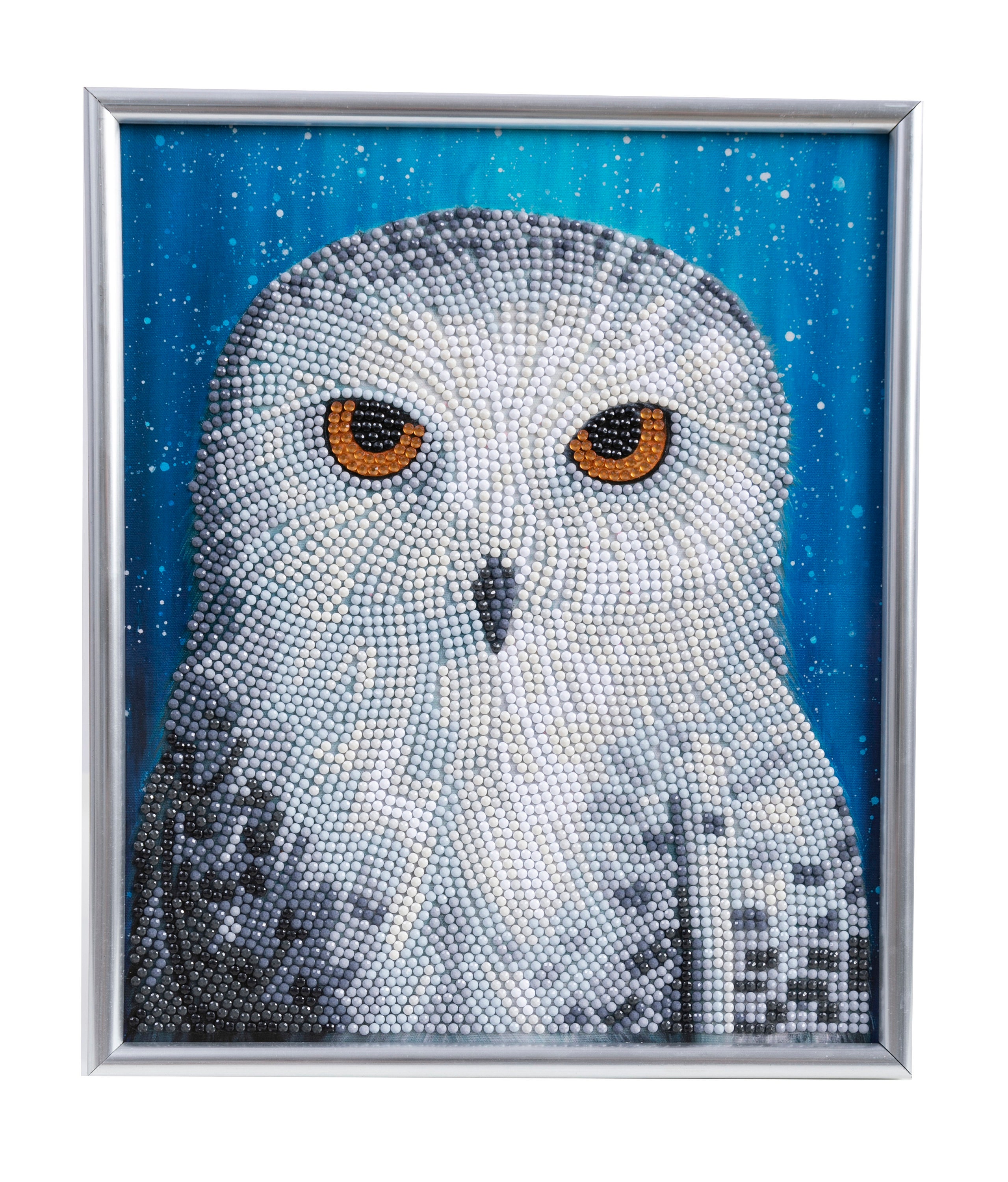 Diamond Painting Kit Complete Owl Special Shaped Beads 11x 11