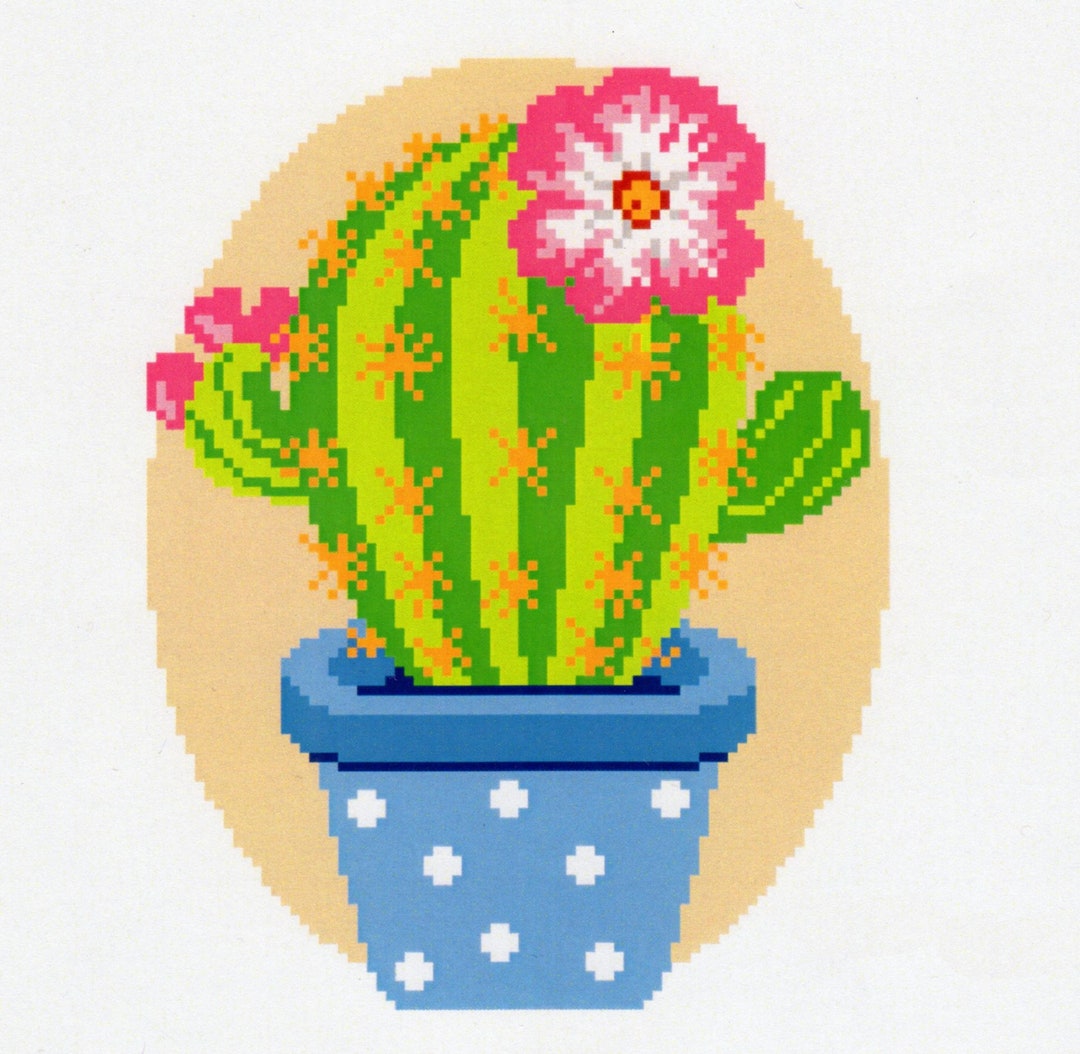 Latch Hook Rug Kit CACTUS PLANT POT Oval Rug Brand New Etsy UK