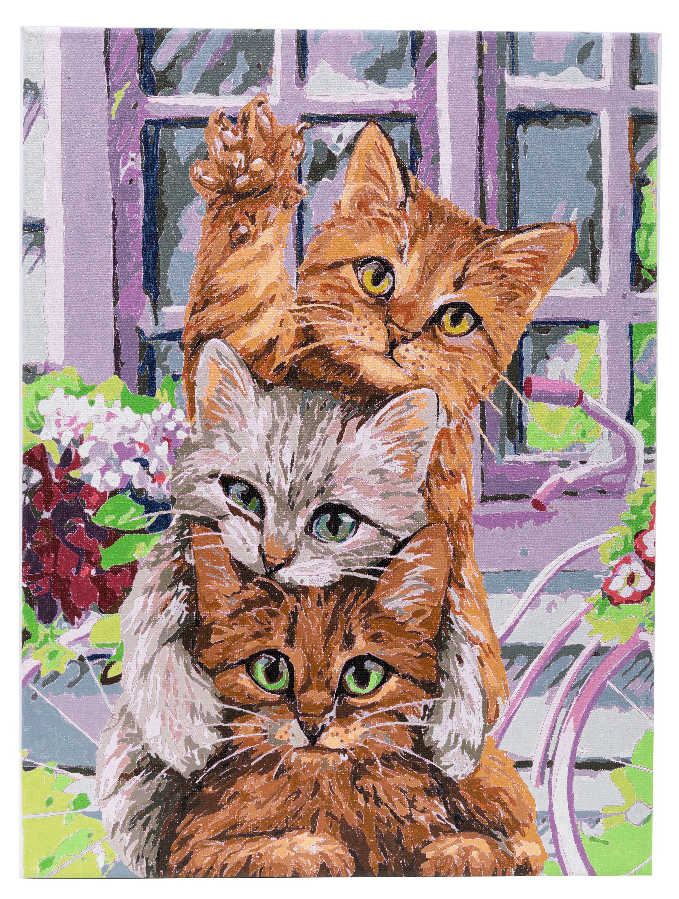 Modern PAINT by NUMBER Kit Adult , Cat in Window , Multicolor Cat  Illustration Poster, DIY Beginners Paint Kit , Wall Decor , Sip & Paint 