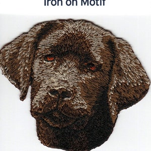 Op de afbeelding: Strijk-op patch van de kop van een bruine Labrador Retriever puppy. De patch is geborduurd met bruin, wit en oranje garen.