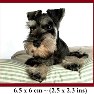 Dollhouse Miniature Picture Dog Puppy Animal Wall Art 12th Scale