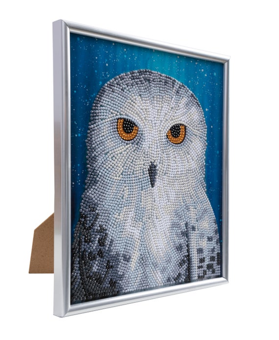 Crystal Art Diamond Painting Card Kit - Barn Owl- Create Your Own 7x7  Card Kit - for Ages 8 and up