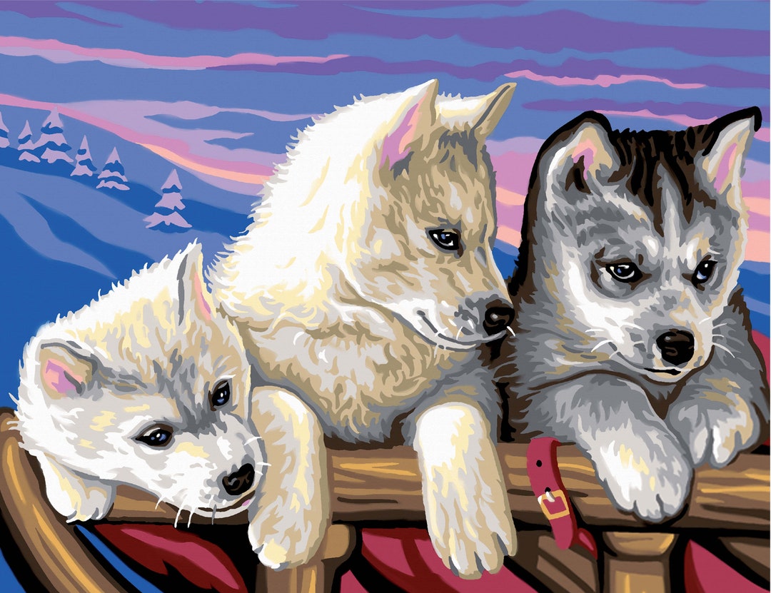 Paint by Numbers Kit HUSKY DOG HUSKIES Painting Kit, Acrylic, Frameless