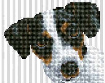 YSCOLOR Diamond Painting Kit Per Pittura Diamante Kit Per Principianti Jack Russell Terrier Per Principianti E Adulti Z1600 30x40cm