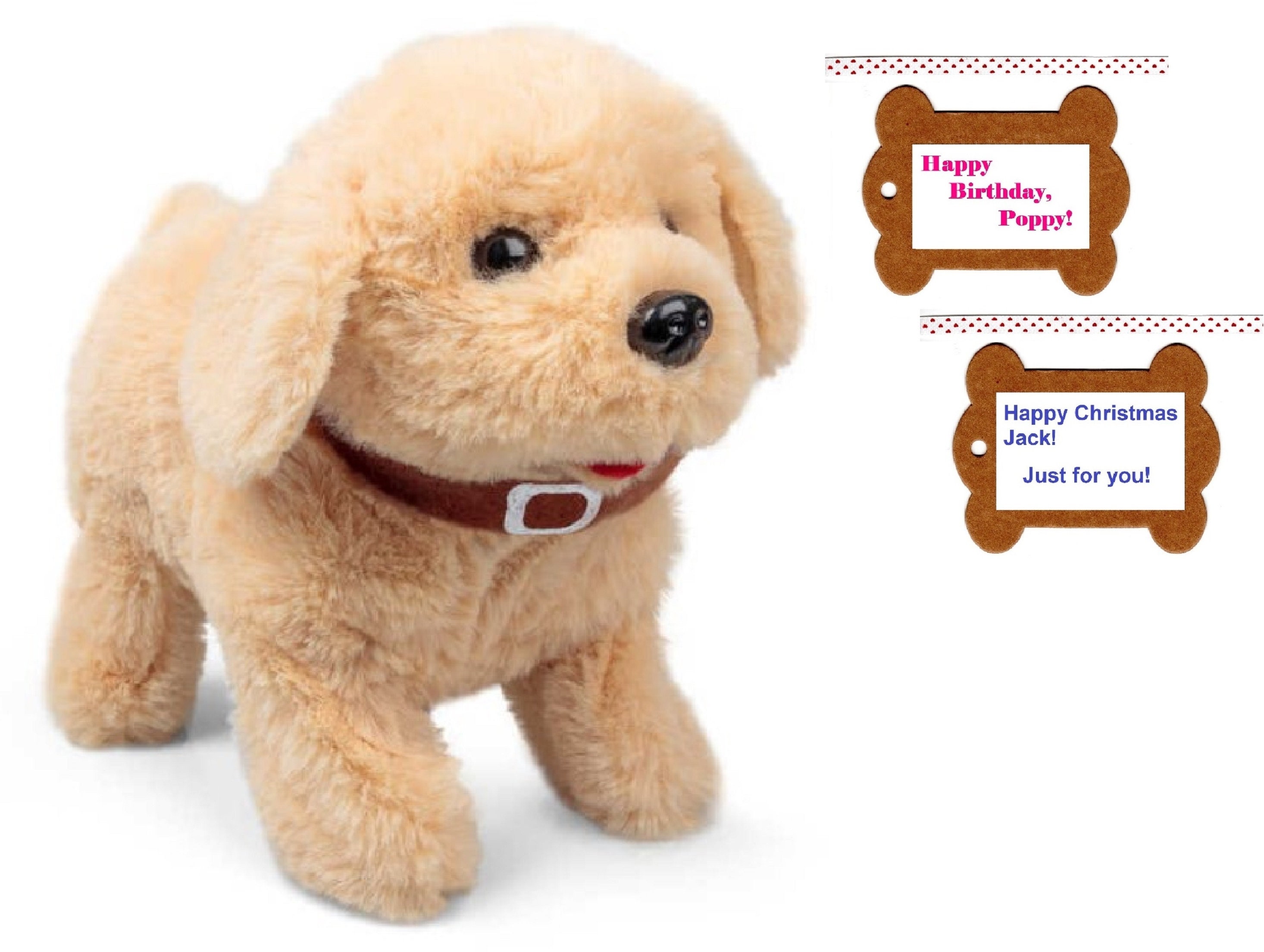 Dog barking at toy hot sale