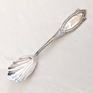 Puede incluir: Una cuchara de azúcar de plata con un mango adornado y un cuenco en forma de concha. El mango está grabado con la palabra "Will".
