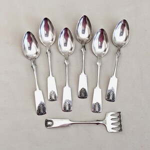 Może przedstawiać: Zestaw siedmiu srebrnych łyżeczek do herbaty z ozdobnymi uchwytami. Każda łyżeczka ma inny wzór z motywem muszli.