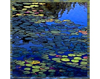 Silk Scarf, early morning, Water Lilies, late September