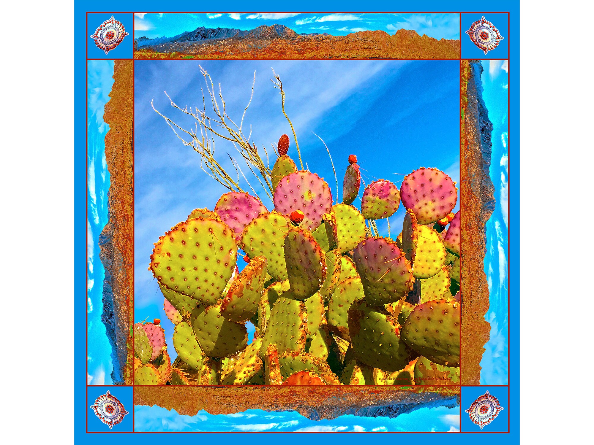 cactus orange 4" Spring Cactus, Orange