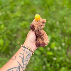 K&ouml;nnte beinhalten: Ein kleines, handgefertigtes Capybara-Pl&uuml;schtier aus H&auml;kelarbeit in Braunt&ouml;nen, mit einer kleinen gelb-gr&uuml;nen Krone. Das Pl&uuml;schtier wird in einer Hand vor einem verschwommenen gr&uuml;nen Hintergrund gehalten, was die weiche Textur und die detaillierte Verarbeitung zeigt.