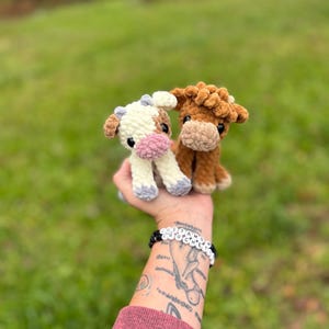 May include: Two handmade crochet cow plushies. One is white and brown with a pink nose, the other is brown. The plushies are held up against a blurred green background.