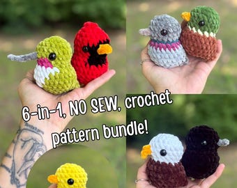 Pájaros regordetes, patrón de ganchillo 6 en 1 en PDF, patrón de amigurumi sin costuras.