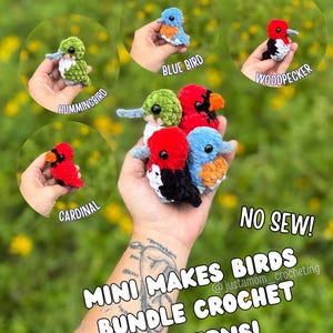 May include: A collection of colorful, crocheted bird figures, including a hummingbird, bluebird, cardinal, and woodpecker. The text "NO SEW!" and "MINI MAKES BIRDS BUNDLE CROCHET PATTERNS!" are also visible. The birds are in various colors.