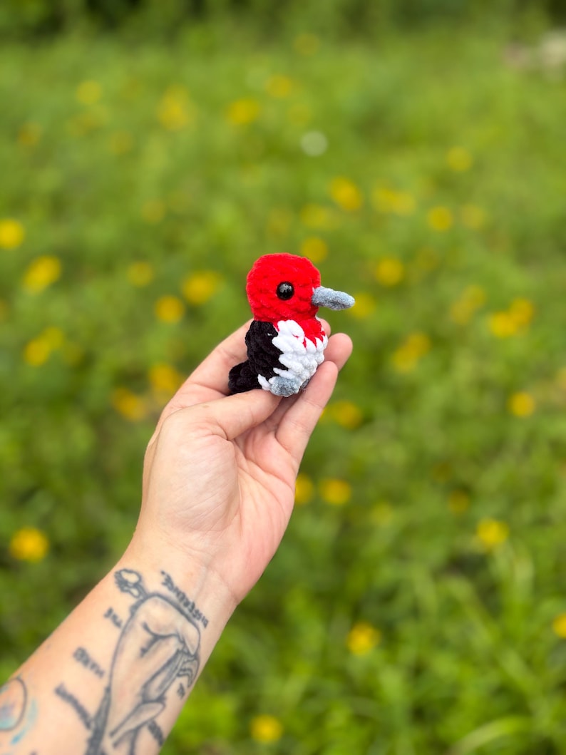 May include: A small, handcrafted crochet bird plushie featuring a bright red head, a black back, and a white chest. The bird has a small gray beak and black bead eyes, designed with a soft, textured yarn finish in a compact, palm-sized form.