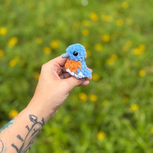 May include: A small, handmade crochet bird plushie featuring a light blue head and back, an orange chest, and white underparts. The bird has a small grey beak and round black plastic eyes, crafted from soft, textured yarn in a compact size.