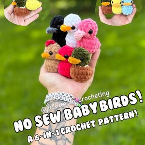 No Sew Baby Bird 6in1 Crochet Patterns Crochet Plushies, No Sew Duck, Mallard, Crow, Chicken, Flamingo Patterns!