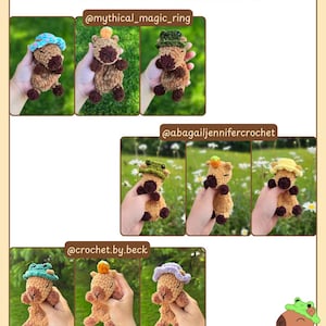 K&ouml;nnte beinhalten: Eine Collage von geh&auml;kelten Capybara-Spielzeugen, jedes mit einem einzigartigen Hut. Die Spielzeuge sind braun mit dunkelbraunen Akzenten und kleinen schwarzen F&uuml;&szlig;en. Der Text "TESTER APPRECIATION!" steht oben, mit Social-Media-Handles darunter.