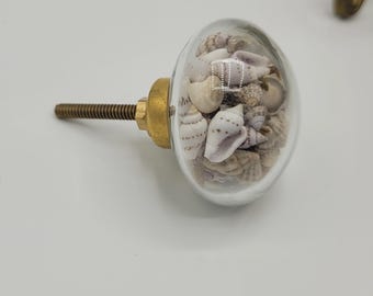 1 Seashell enclosed in glass Knobs. Decorative Nautical Beach Ocean Dresser Drawer Pulls, Shabby Chic, Beach Theme Nautical Nursery