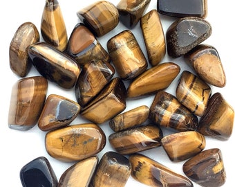 Tigers Eye Tumbled Pocket Crystal Stone Multiple Sizes Available Polished Yellow Gold Tiger Eye Gemstone