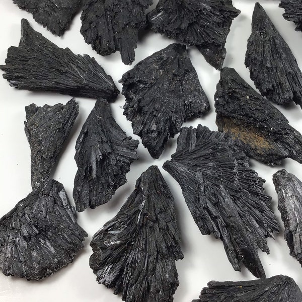 Rough Raw Black Kyanite Crystal Fan Blades