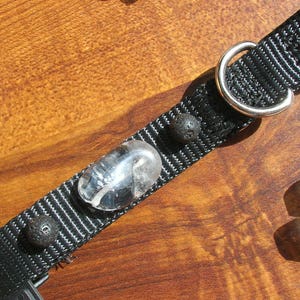 May include: Black nylon dog collar with a silver metal D-ring and buckle. The collar is decorated with a clear, oval-shaped crystal and two small, round, dark lava stones. The collar is on a wooden surface.