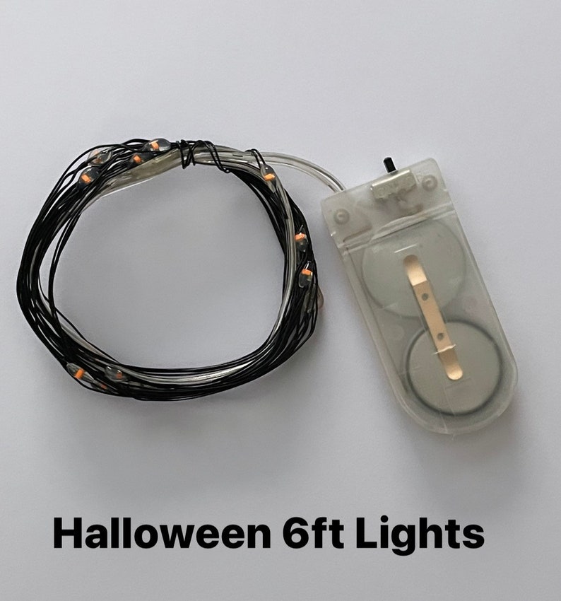 May include: A set of 6 foot long, battery-powered, orange LED fairy lights with a clear wire. The lights are coiled up and the battery pack is visible.