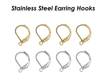 50 x Stainless Steel Leveback Earring Wires, Lever Back Earring Hooks, Bulk  Hypoallergenic Surgical Earring Findings for Jewelry Making