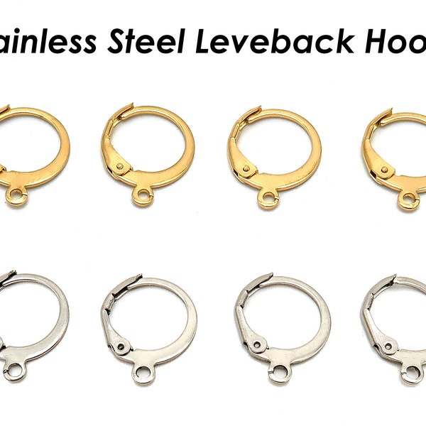 50 x Stainless Steel Leveback Earring Hooks Gold Silver Hypoallergenic Surgical Lever Back Earring Wire Supplies for Jewelry Making