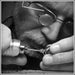 Scott at Pristinity Jewelry