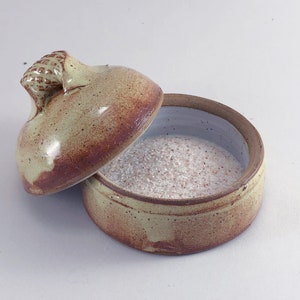 Handmade Stoneware Salt Cellar with Lid: Kitchen Treasure Box