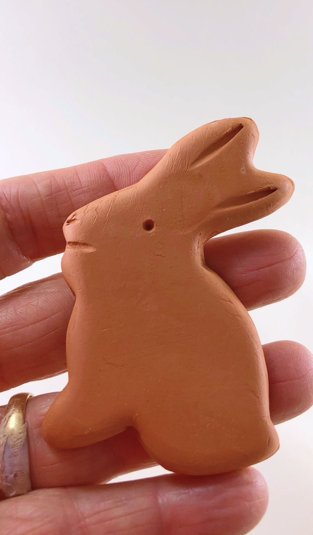 Terra Cotta Brown Sugar Bunny: Food Storage