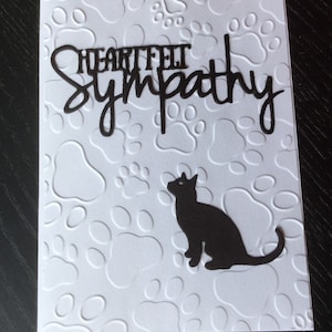 Carte de sympathie pour chat