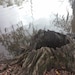 Owner of <a href='https://www.etsy.com/shop/WildWoodWork?ref=l2-about-shopname&from_page=listing' class='wt-text-link'>WildWoodWork</a>