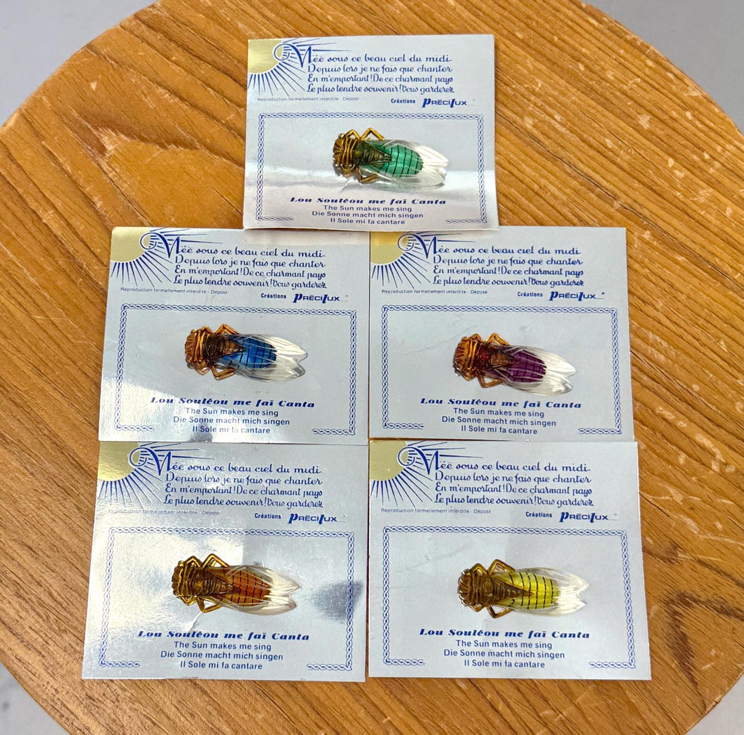 NOS Vintage Cicada Bug Lucite French Pin Brooch Jewelry 