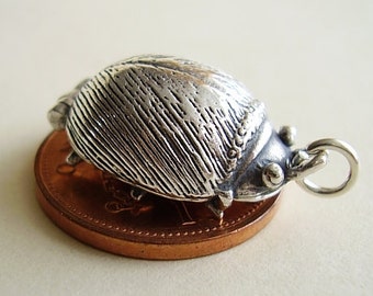 Puede incluir: Un amuleto de plata con forma de escarabajo. El amuleto está sobre una moneda de color cobre.