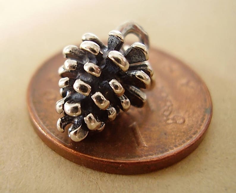 Puede incluir: Un amuleto de plata con forma de pi&ntilde;a. El amuleto est&aacute; detallado con una superficie texturizada y est&aacute; sentado sobre un centavo de cobre.