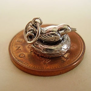 Opening Bird On Eggs Sterling Silver Charm