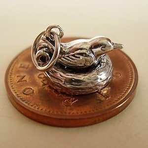 Opening Bird On Eggs Sterling Silver Charm