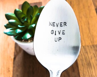 May include: A silver spoon with the words "NEVER GIVE UP" stamped on the bowl. The spoon is set against a blurred background with a small potted succulent plant.