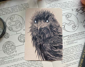 Feinol Bird Raven Art Postcards