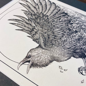 Raven Original Ink Drawing
