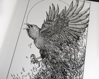 Original Drawing 'The Raven' - Pen and Ink - Art