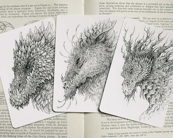 Nature Dragons Art Postcards
