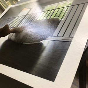 May include: A rectangular photographic print featuring a high-angle perspective of a dark wooden floor and a white railing. The image shows a bright window in the background, with a glossy finish and a wide white border surrounding the central scene.