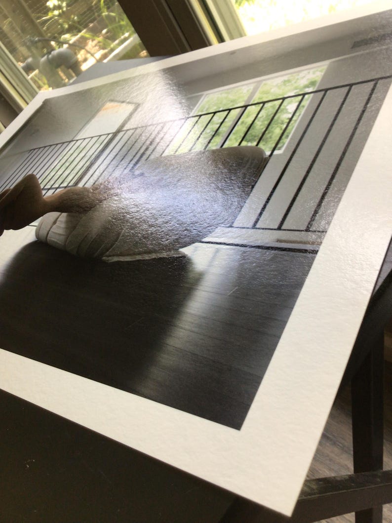 May include: A rectangular photographic print featuring a high-angle perspective of a dark wooden floor and a white railing. The image shows a bright window in the background, with a glossy finish and a wide white border surrounding the central scene.
