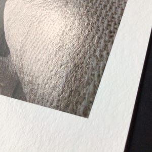 May include: Close-up of a framed photograph. The image features a textured, light-colored surface, possibly fabric or a similar material. The frame is black, and the matting is white, creating a contrast with the image.