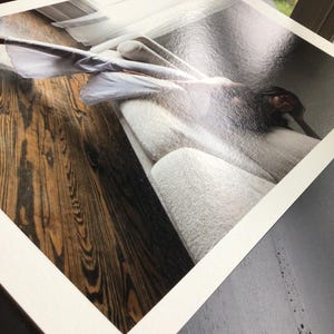 Pode incluir: Fotografia de um interior de quarto, com um sof&aacute; de cor clara e piso de madeira. A imagem &eacute; emoldurada com uma borda branca, repousando sobre uma superf&iacute;cie escura. O quarto parece ter luz natural.