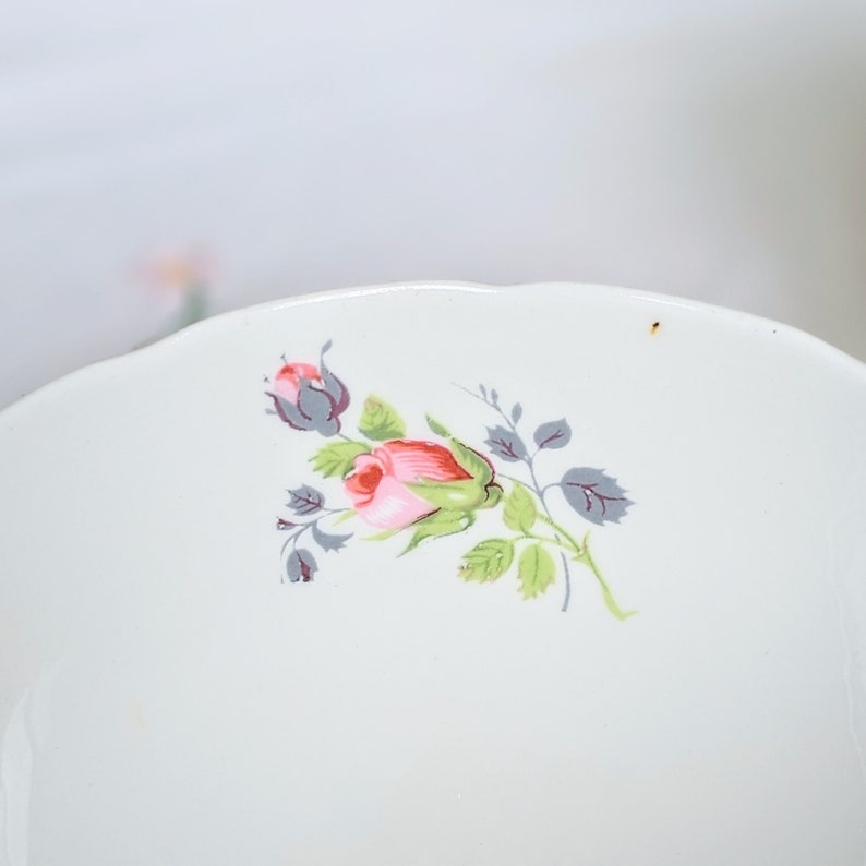 Vintage ' Princess ' pattern ' bone china sugar bowl in pastel green